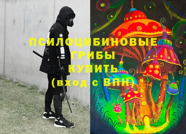гидра Козельск