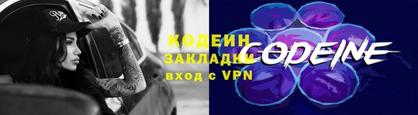 индика Краснотурьинск