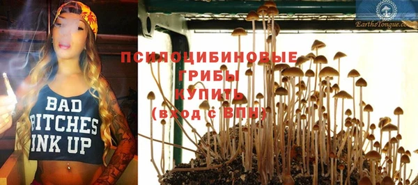 тгк Козловка