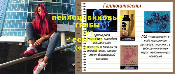 тгк Козловка