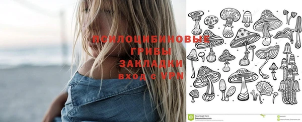 гидра Козельск