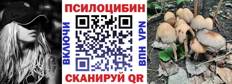 Купить где  Аткарск  Галлюциногенные грибы Cubensis 