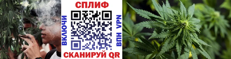 Конопля Amnesia  Купить закладки  Аткарск 